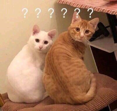 “引導(dǎo)”你會嗎？