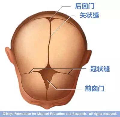 寶寶的囟門很重要，出現這3種異常要當心！