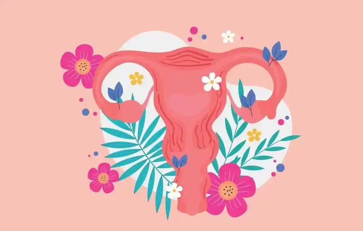 孕媽小知識(shí)|怎樣保護(hù)子宮健康？